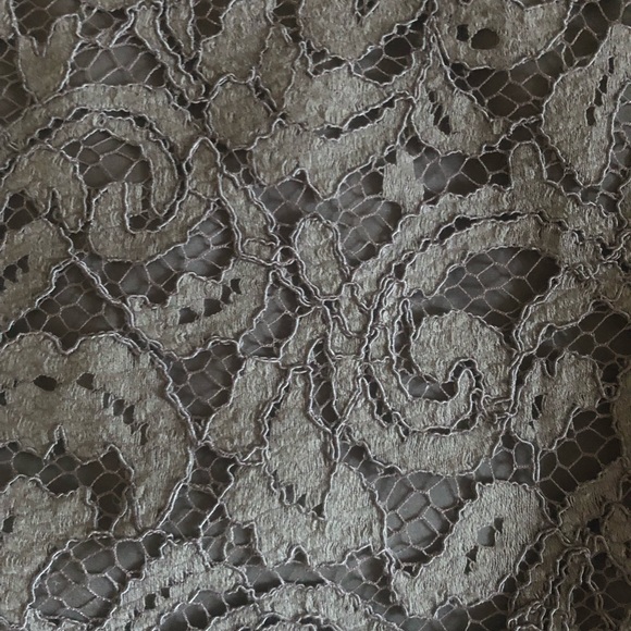 NWOT Banana Republic Lace Overlay Skirt, size 8, brown - Picture 5 of 10